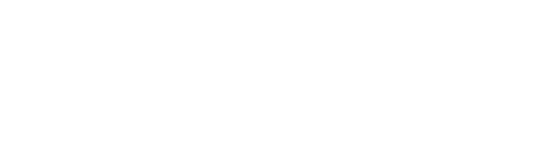 finleas_logo_white