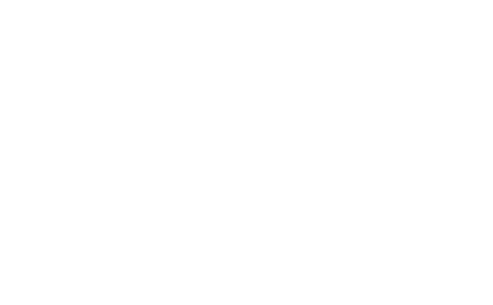 mgholding_logo_white